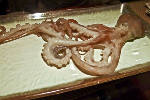 Sannakji Octopus Korea