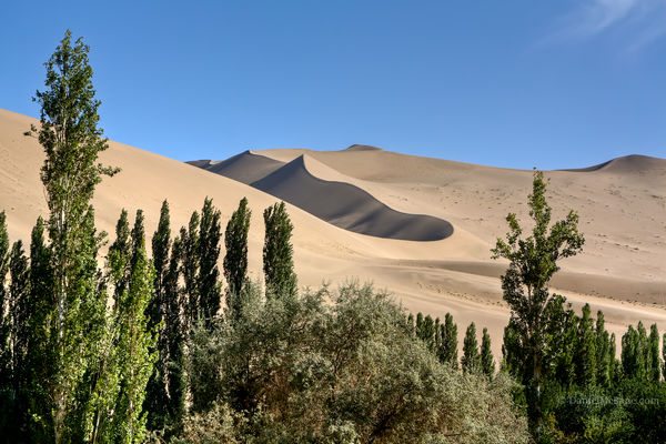 Mingsha sand dunes Dunhuang Gansu China