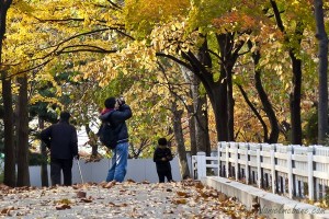 Seoul in Autumn