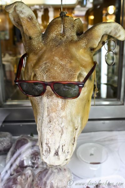 Calf Head with Sunglasses and Earring in Madrid