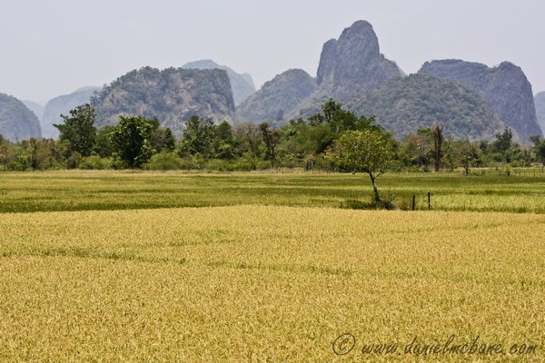Karst Landscape Laos Loop
