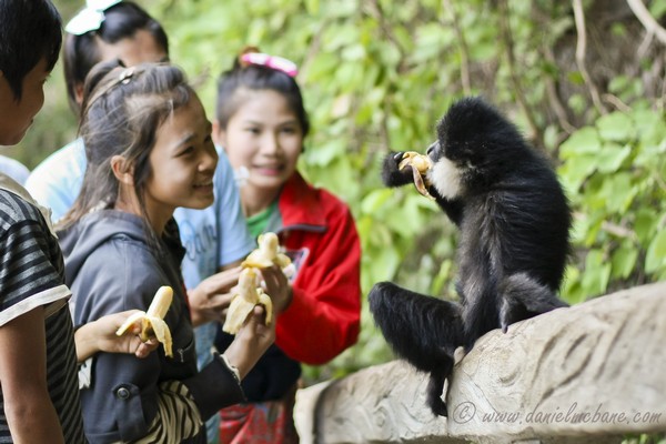 Kids Feeding Monkey Laos