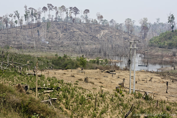 Central Laos Slash And Burn