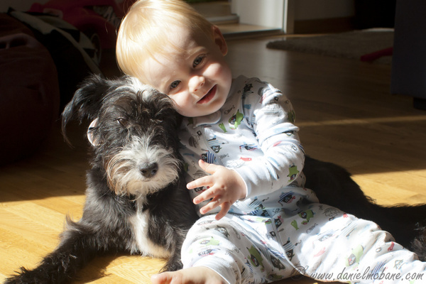 Baby With Dog