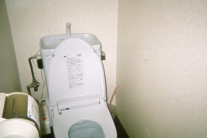 Japanese Toilet With Faucet