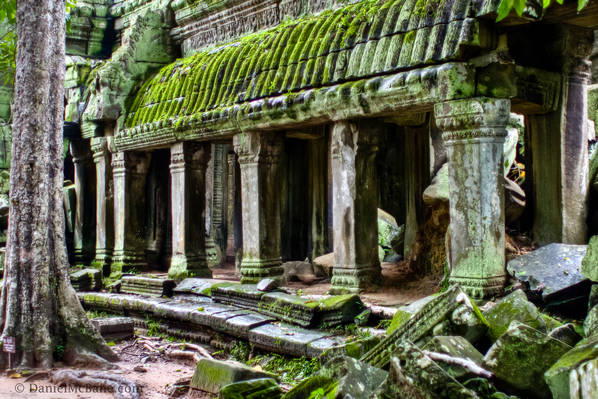 Angkor Temple Covered in Moss