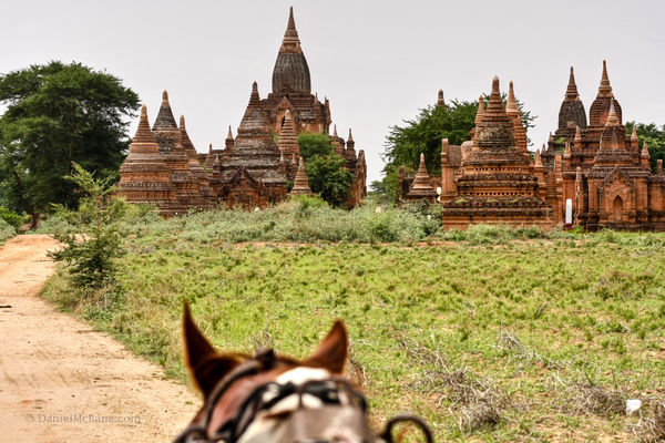 Seeing the temples of Bagan by horse cart