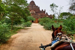 Horse cart approaching a temple in Bagan