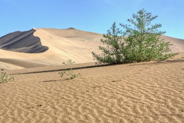 Mingsha sand dune in Dunhuang, Gansu, China