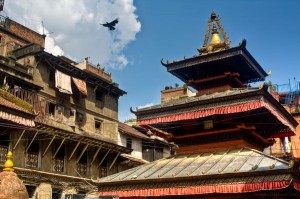Bird flying above a temple in Kathmandu Nepal