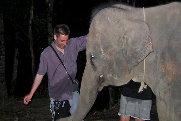elephant on Koh Phangan Thailand