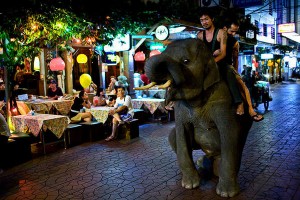 Elephant riding on street of Bangkok