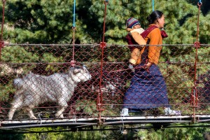 Tibetan woman leading goat on leash