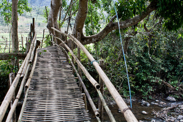 A bamboo bridge in rural Laos