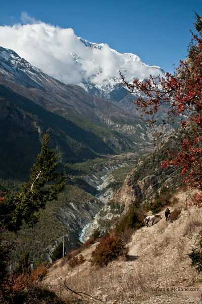 Manang valley in Annapurna, Nepal