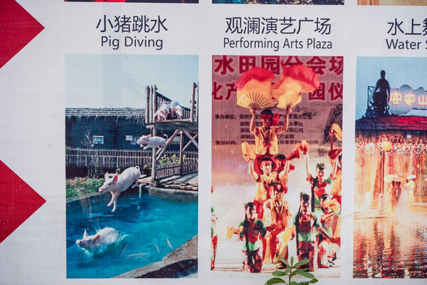 Funny amusement park sign in Shenzhen for pig diving