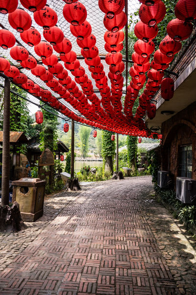 Red lanterns over a lakeside path in Shenzhen China