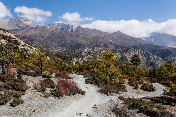 Trail from Ngawal to Manang on Annapurna Trek Nepal