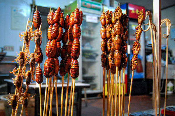 insects sold as snacks in Wangfujing, Beijing, China