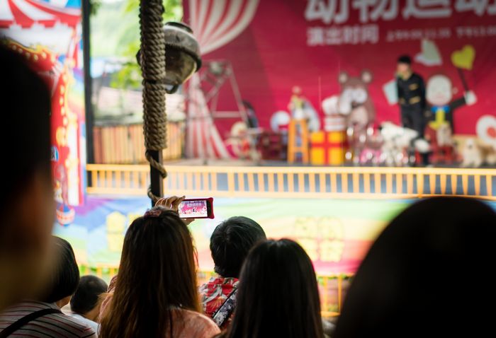 Audience member capturing dog show on phone in Shenzhen