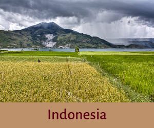 Indonesia Funny Travel Stories